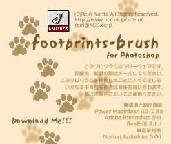 Footprints-brush